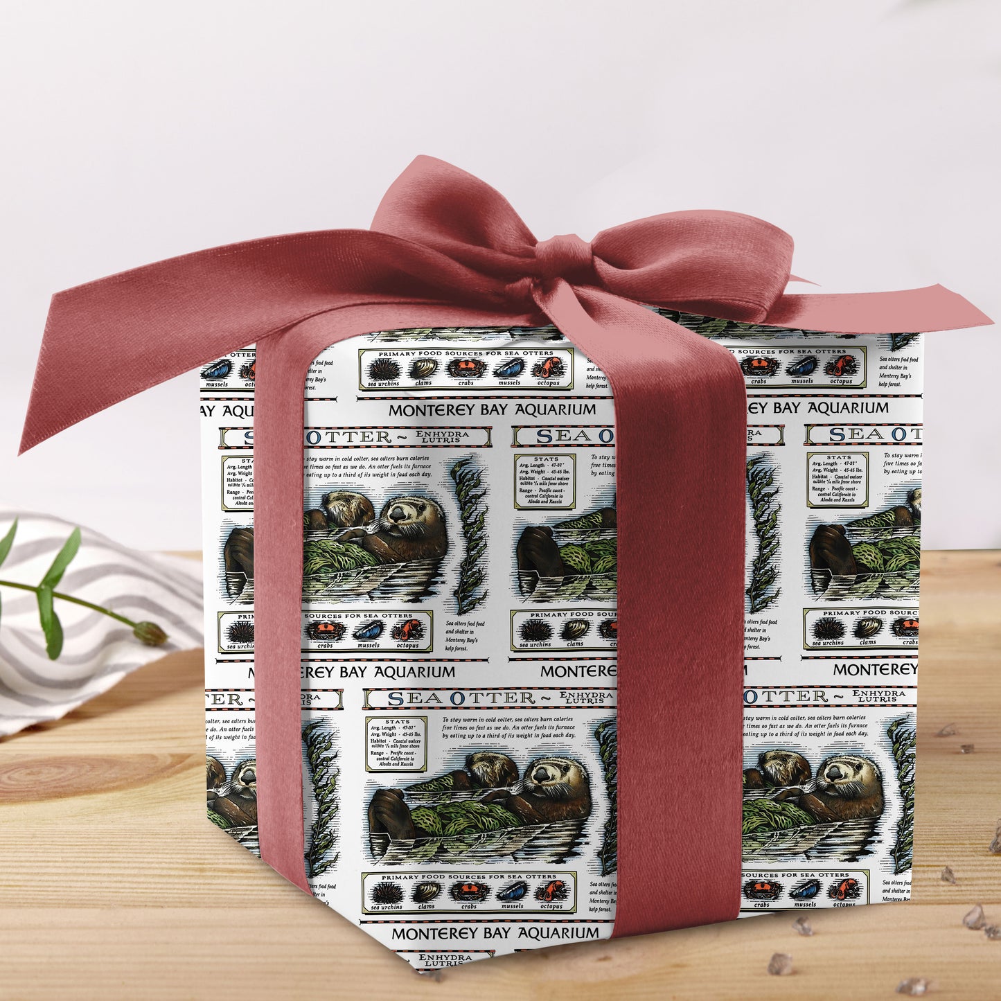 Vintage Otter Wrapping Paper Monterey Bay Gift Wrap
