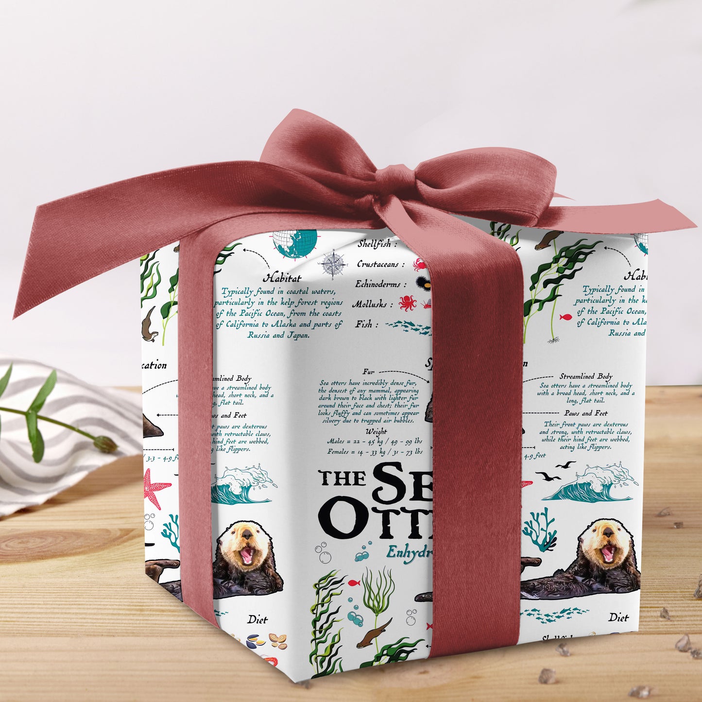 Monterey Bay Aquarium Otter Wrapping Paper Vintage Paper