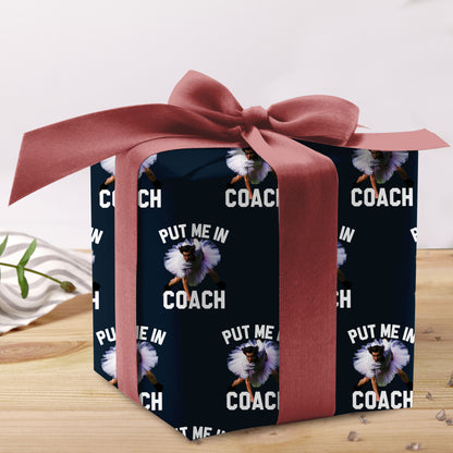 Put Me In Coach Wrapping Paper Baseball Gift Wrap
