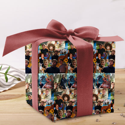 Robert Irwin Christmas Wrapping Paper