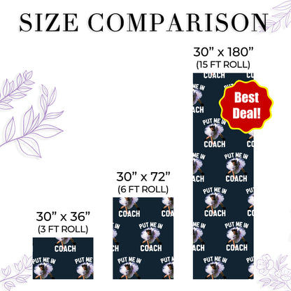 Put Me In Coach Wrapping Paper Baseball Gift Wrap