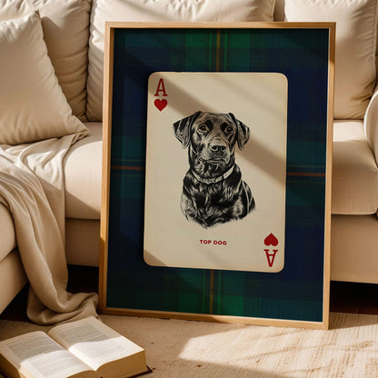 Black Lab Dog Portrait Poster