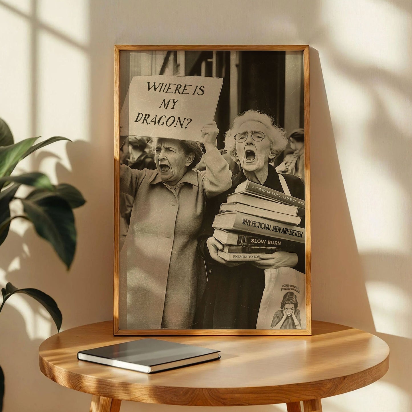 Dragon Grannies Poster