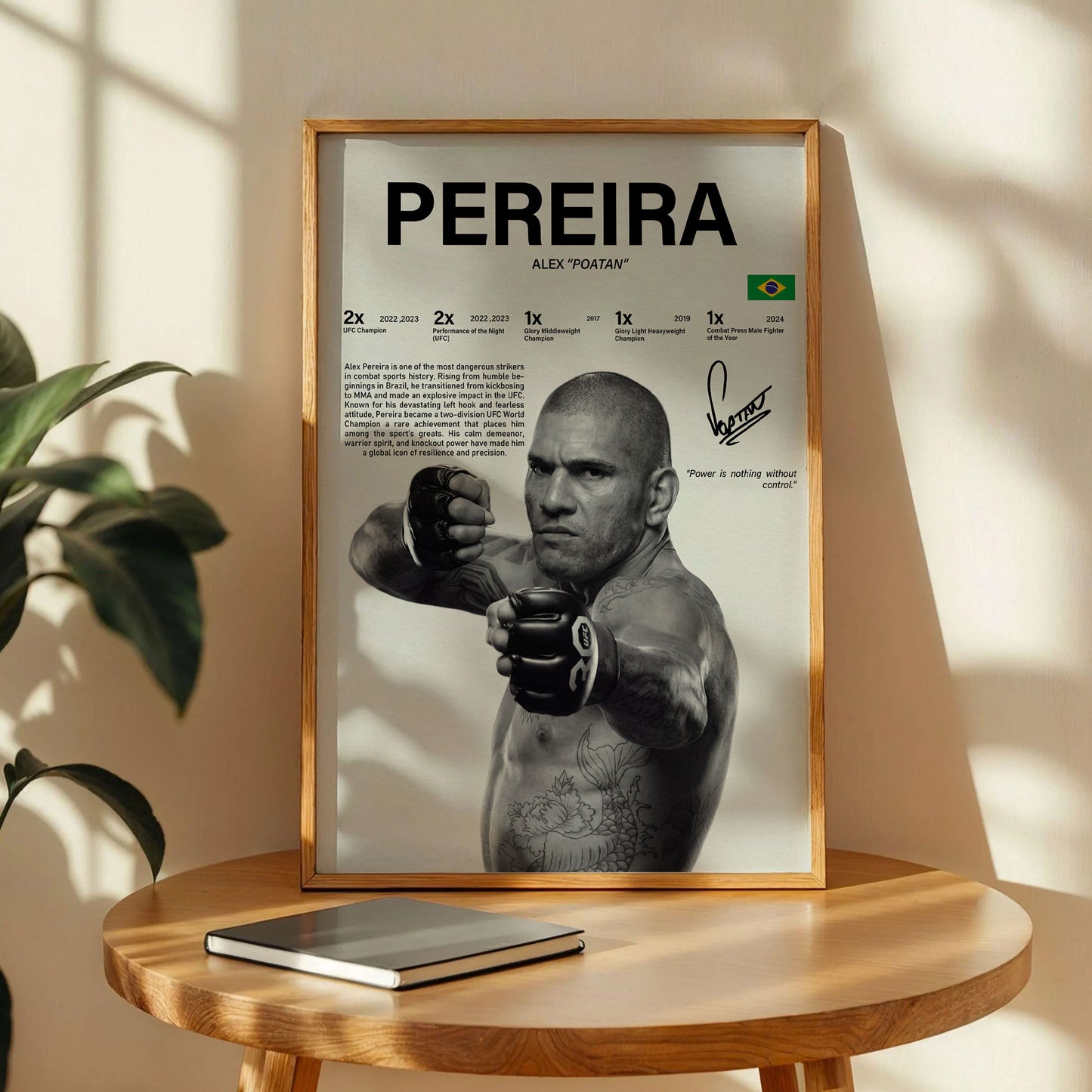 Alex Pereira Poster