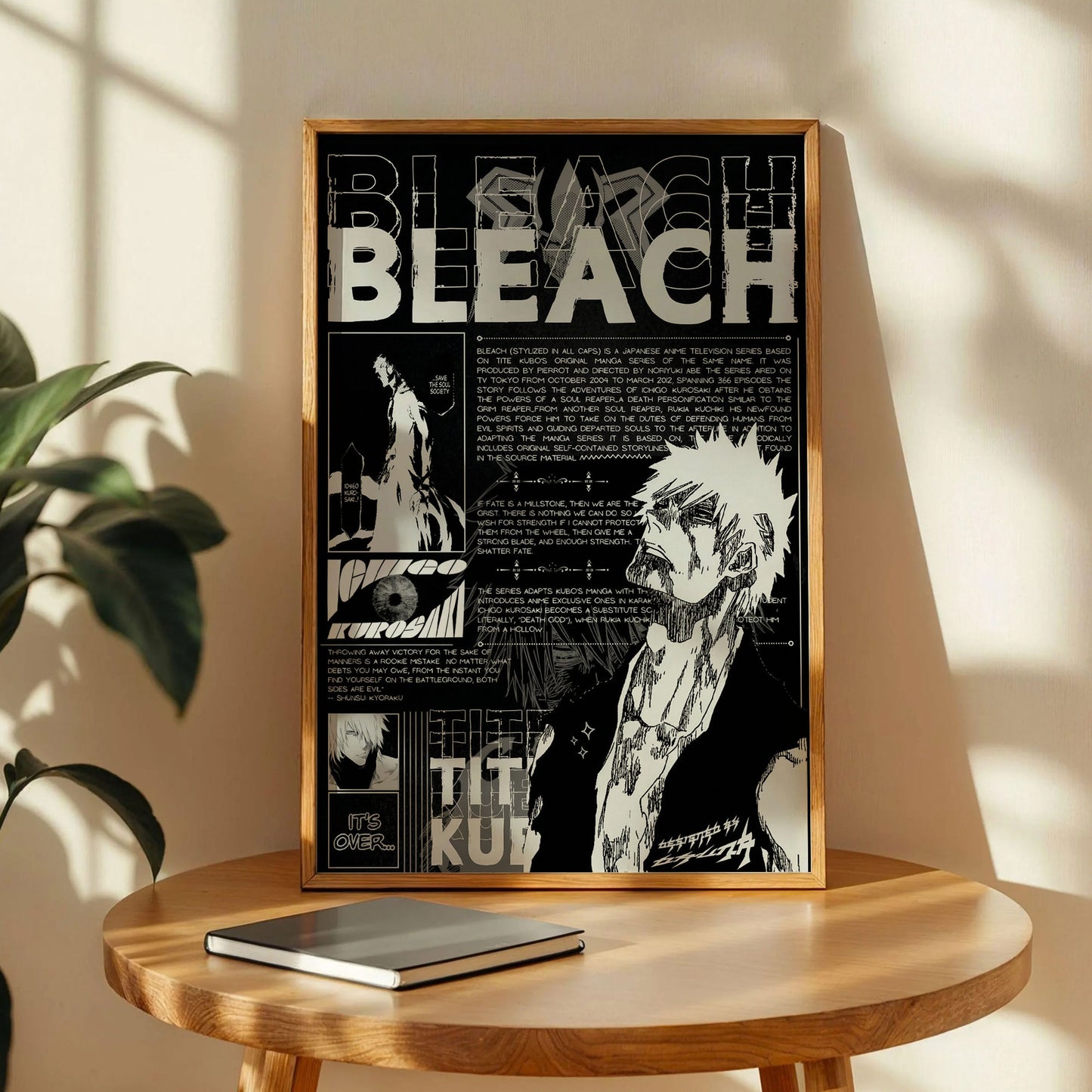 Bleach Anime Poster