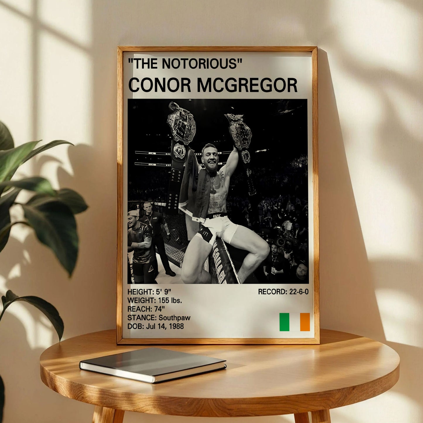 Conor Mcgregor Poster