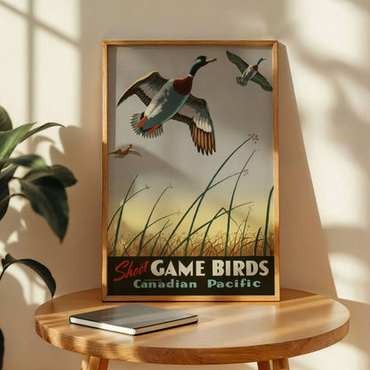 Shoot Game Birds Poster