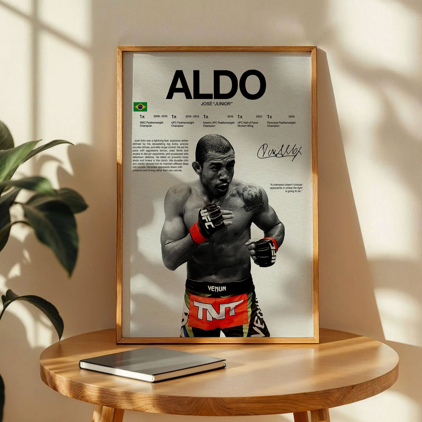 Aldo UFC Champion Poster