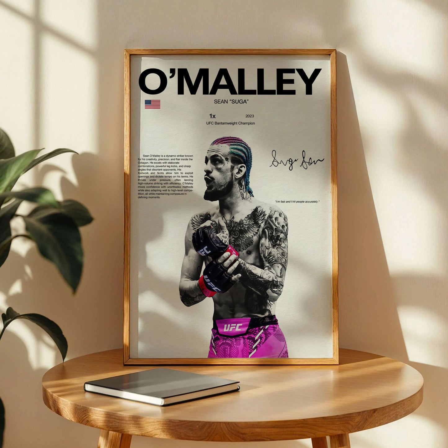 O' Malley UFC Poster