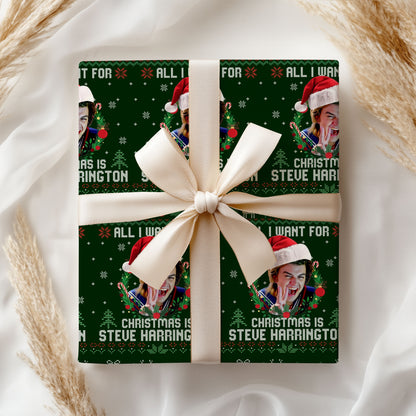 Joseph David Keery Wrapping Paper