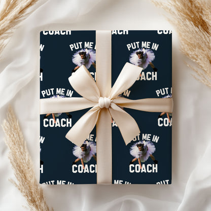 Put Me In Coach Wrapping Paper Baseball Gift Wrap
