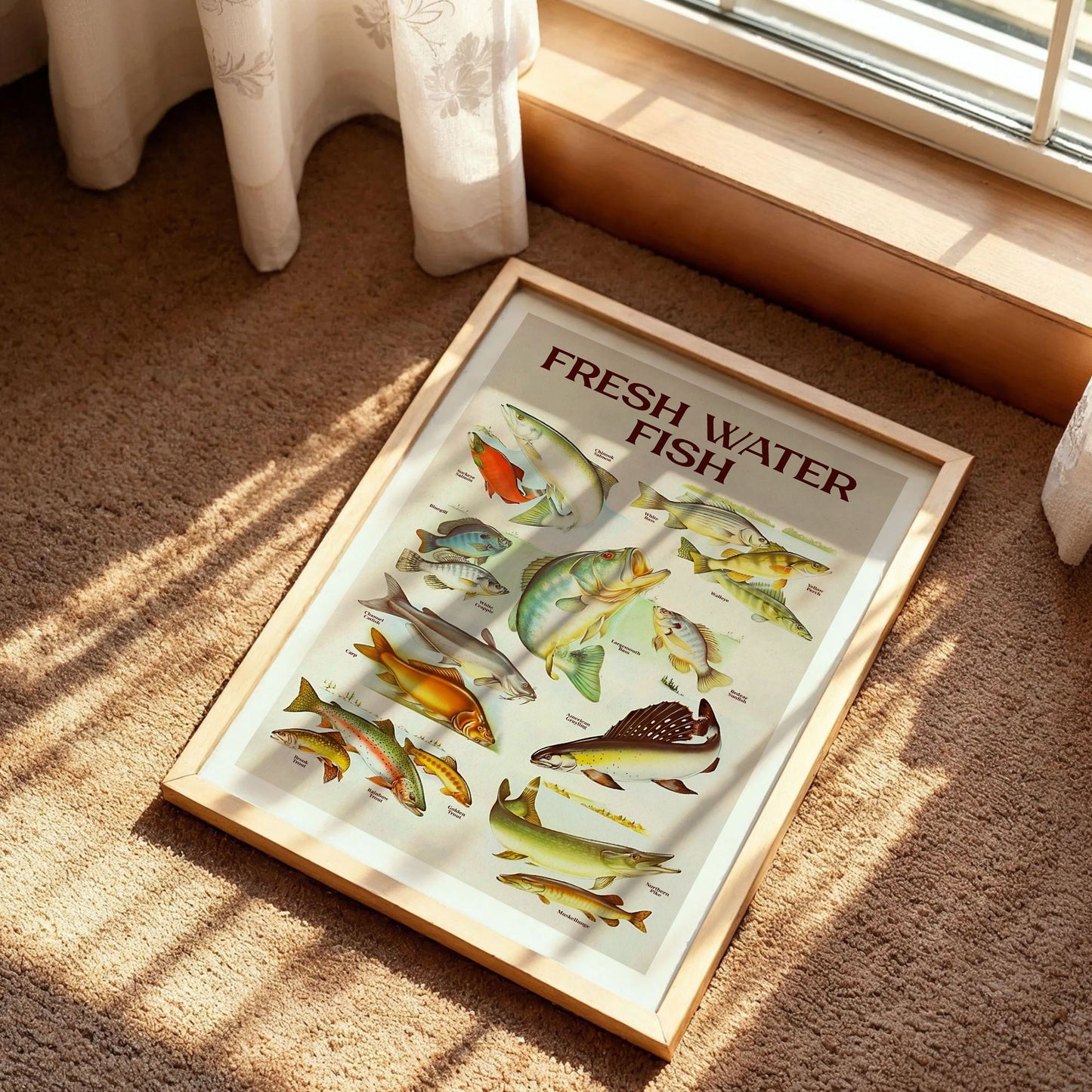 Retro Fresh Water Fish Print