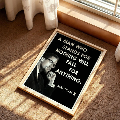 Malcolm X Poster