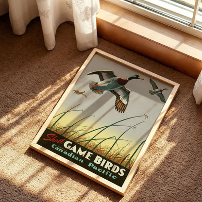 Shoot Game Birds Poster