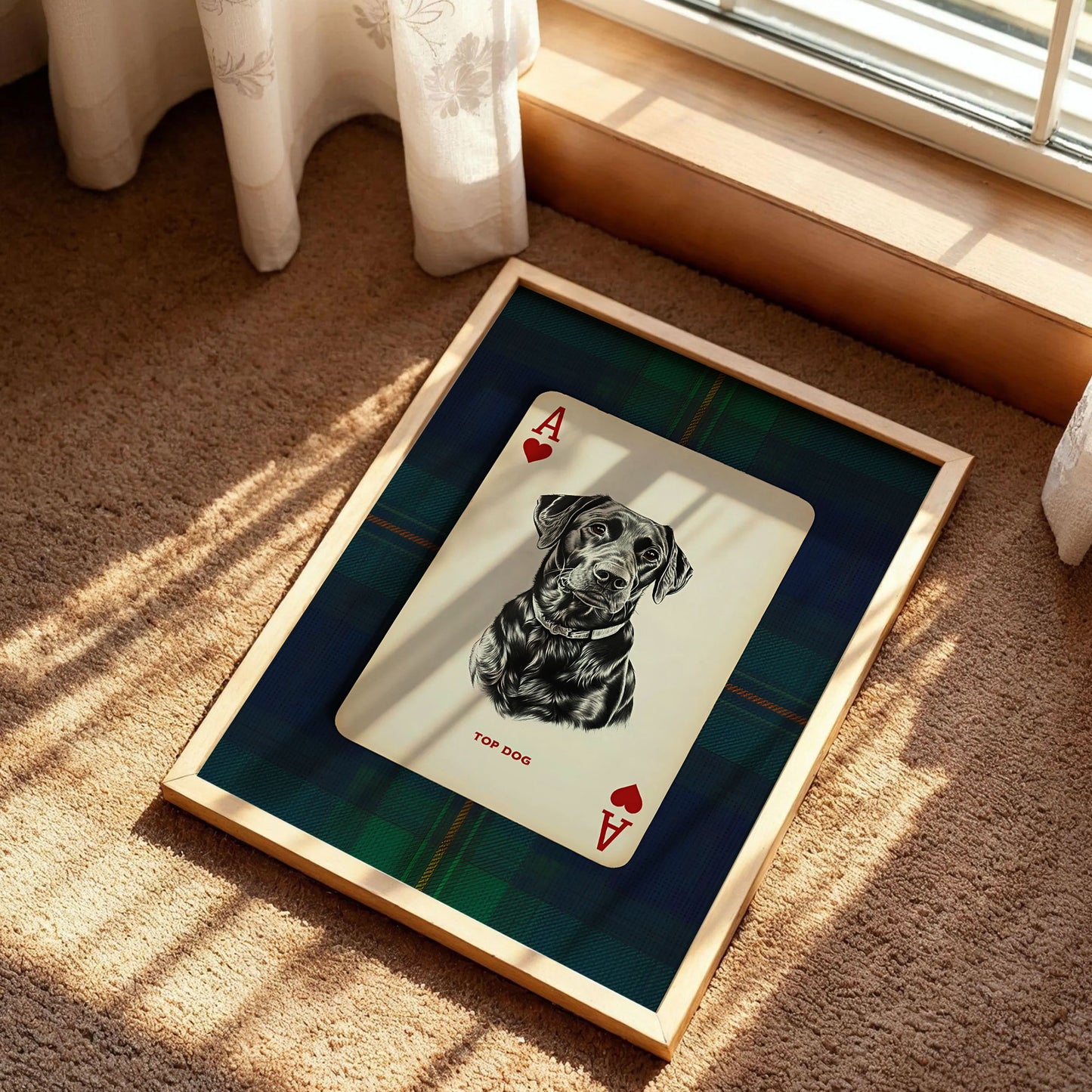Black Lab Dog Portrait Poster