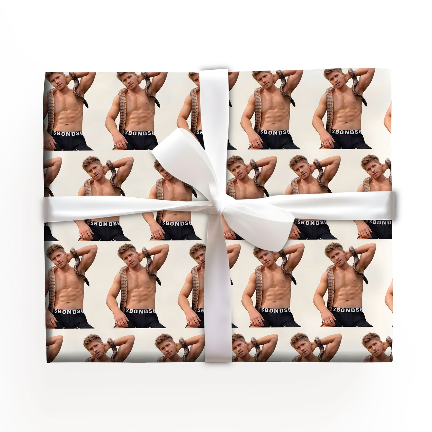 Robert Irwin Inspired Wrapping Paper Sheet