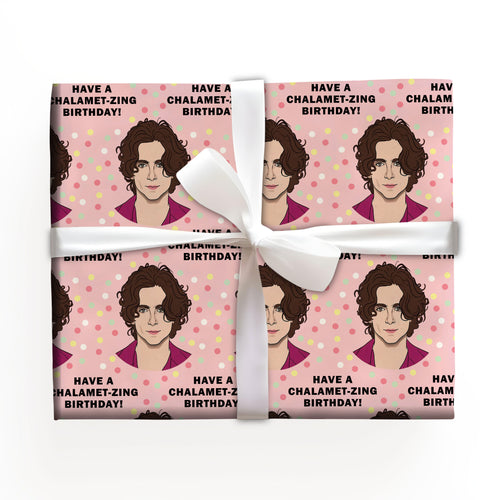 Timothée Chalamet Gifts Wrapping Arts Crafts Decorations
