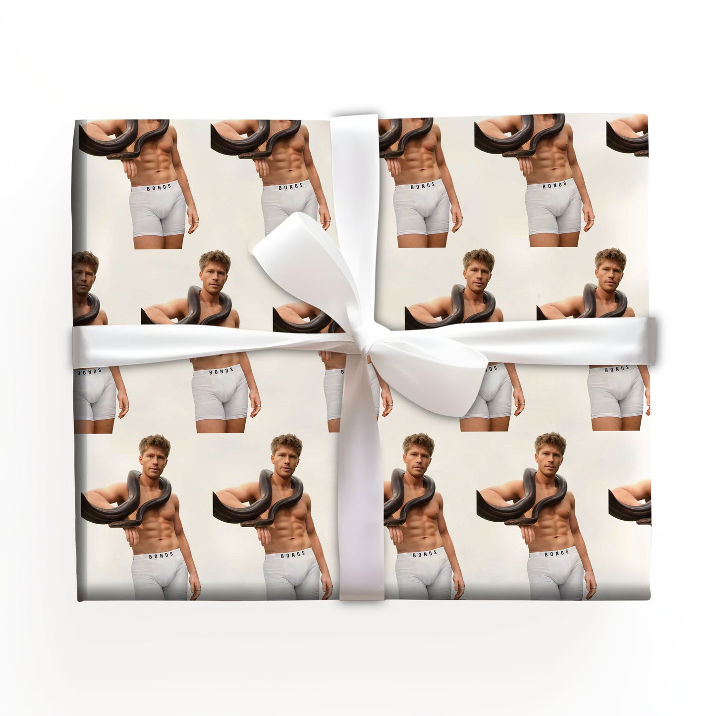 Animal Lover Wrapping Paper Robert Irwin Gift