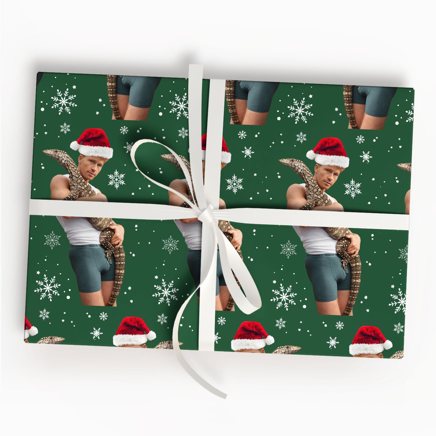 Robert Irwin Christmas Wrap Gift