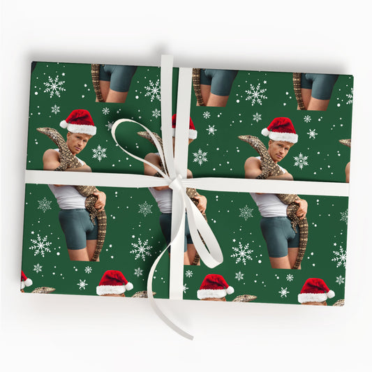 Robert Irwin Christmas Wrap Gift