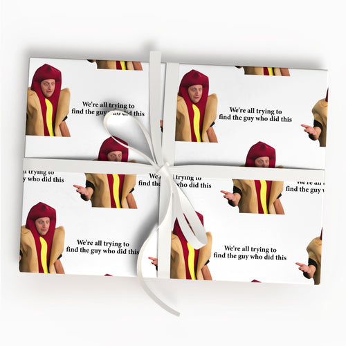 Tim Robinson Hotdog Wrapping Paper