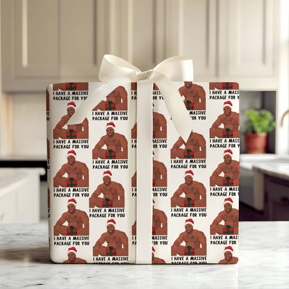 I Have A Massive Pakage For You Gift  Wrap