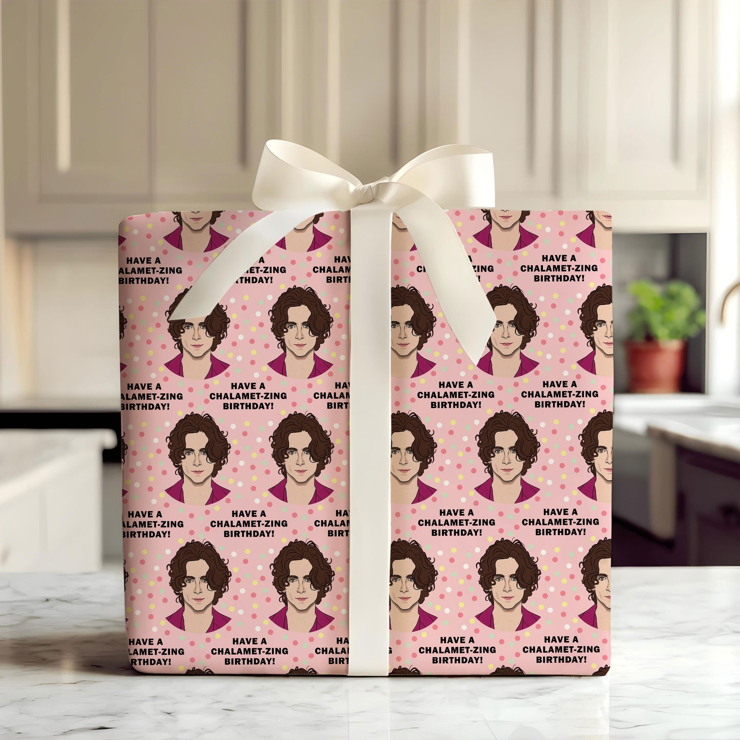 Timothée Chalamet Gifts Wrapping Arts Crafts Decorations