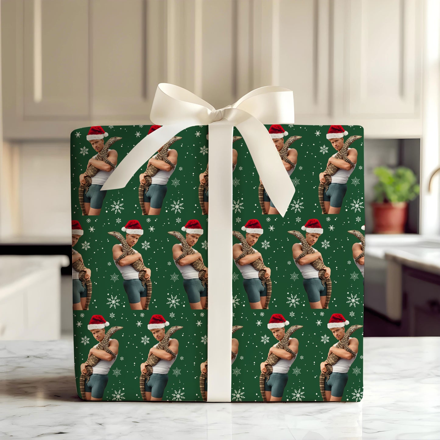 Robert Irwin Christmas Wrap Gift