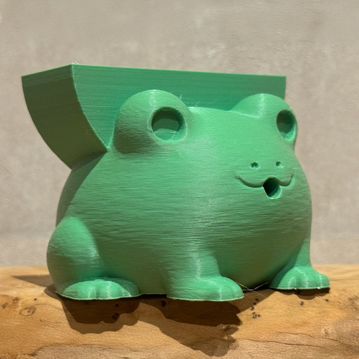 Surprised Frog Sponge Holder